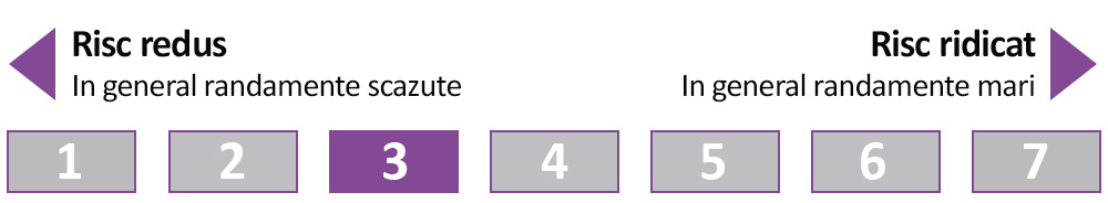 Clasa-Risc-DIE 3